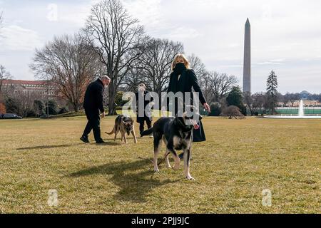 P20210124CW-0220: First Lady Dr. Jill Biden, begleitet von der Außenaufsicht des Weißen Hauses, Dale Haney und ihrer Enkelin Maisy Biden, spielen mit den beiden-Hunden Major und CHAMP auf dem South Lawn des Weißen Hauses. Major und CHAMP sind die ersten Haustiere im Weißen Haus seit der Obama-Regierung. (Offizielles Foto des Weißen Hauses von Chandler West) Stockfoto