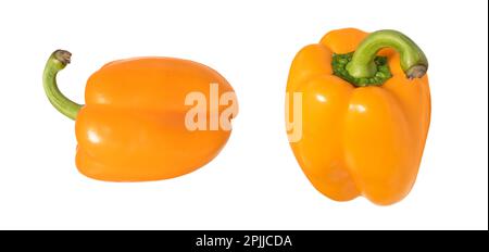 Zwei Orangenpfeffer, isoliert auf weißem Hintergrund. Paprika isoliert. Süßer roter Pfeffer isoliert. Paprika. Gelber süßer, frischer Pfeffer, isoliert auf weißem Untergrund Stockfoto