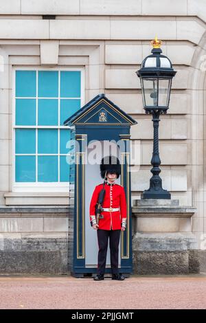 London, England - 16. Oktober 2022: Waliser Wachmann im Buckingham-Palast Stockfoto