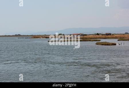 Delta Evros Nationalpark, Evros Thraki Griechenland Stockfoto