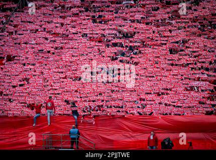 Köln, Deutschland. 2. April 2023. 1. FC Köln - Borussia Mönchengladbach 02.04.2023 Copyright (nur für journalistische Zwecke) von : Moritz Müller, Stockfoto