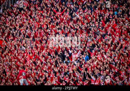 Köln, Deutschland. 2. April 2023. 1. FC Köln - Borussia Mönchengladbach 02.04.2023 Copyright (nur für journalistische Zwecke) von : Moritz Müller, Stockfoto