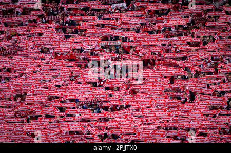 Köln, Deutschland. 2. April 2023. 1. FC Köln - Borussia Mönchengladbach 02.04.2023 Copyright (nur für journalistische Zwecke) von : Moritz Müller, Stockfoto