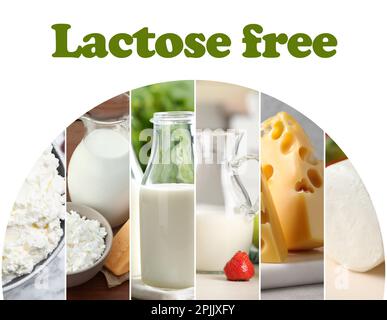 Collage mit Fotos laktosefreier Milchprodukte auf weißem Hintergrund Stockfoto