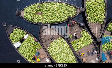 3. April 2023, Dhaka, Dhaka, Bangladesch: Dutzende von Booten, die Tausende von leuchtend grünen Wassermelonen transportieren, legen an einem geschäftigen Markt in der Nähe des Buriganga in Dhaka, Bangladesch an. Händler bringen die Früchte - bis zu 2 00.000 pro Tag - aus ländlichen landwirtschaftlichen Flussgebieten in die Hauptstadt Dhaka, um sie landesweit zu verteilen. Die Arbeiter, die nur 3,50 GBP pro Tag verdienen, verbringen den ganzen Tag damit, schwere Körbe mit Wassermelonen zu entladen. Jede Wassermelone wird für weniger als 1 GBP verkauft. Wassermelone ist in tropischen Ländern wie Bangladesch sehr gefragt und erleichtert jedem die Wärme. Voll von h Stockfoto