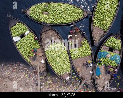 3. April 2023, Dhaka, Dhaka, Bangladesch: Dutzende von Booten, die Tausende von leuchtend grünen Wassermelonen transportieren, legen an einem geschäftigen Markt in der Nähe des Buriganga in Dhaka, Bangladesch an. Händler bringen die Früchte - bis zu 2 00.000 pro Tag - aus ländlichen landwirtschaftlichen Flussgebieten in die Hauptstadt Dhaka, um sie landesweit zu verteilen. Die Arbeiter, die nur 3,50 GBP pro Tag verdienen, verbringen den ganzen Tag damit, schwere Körbe mit Wassermelonen zu entladen. Jede Wassermelone wird für weniger als 1 GBP verkauft. Wassermelone ist in tropischen Ländern wie Bangladesch sehr gefragt und erleichtert jedem die Wärme. Voll von h Stockfoto