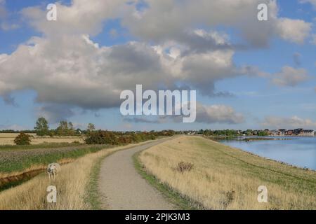 Lemkenhafen, Fehmarn, ostsee, Schleswig-Holstein, Deutschland Stockfoto