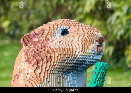 Nahaufnahme einer Wasservole-Skulptur aus Legosteinen, die im April 2023 in Merseyside gesehen wurde. Stockfoto