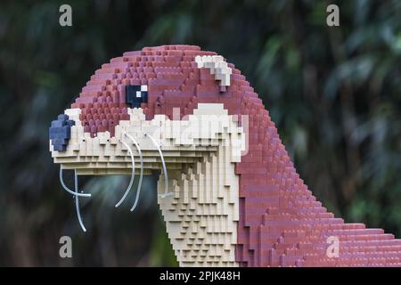 Nahaufnahme einer Otterskulptur aus Legosteinen, die im April 2023 in Merseyside gesehen wurde. Stockfoto