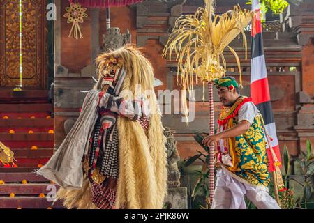 Bali, Indonesien, Februar 14,2023: Barong Dance Show, die traditionelle balinesische Vorstellung in Ubud, ein Kampf zwischen guten und bösen Göttern. Stockfoto