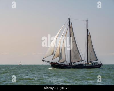 Traditioneller Zweimastklipper mit fünf Segeln auf dem See IJsselmeer, Niederlande Stockfoto