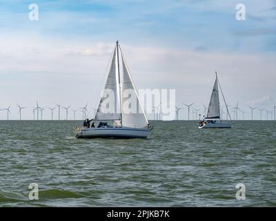 Menschen in Segelbooten, die auf dem IJsselmeer See in der Nähe von Windpark Fryslan, Niederlande, segeln Stockfoto