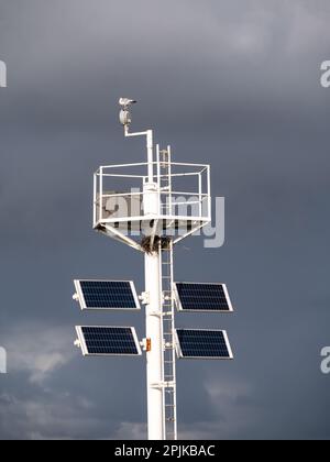 Mast der Navigationslichter mit Sonnenkollektoren, Heringsmull und Vogelnest am dunklen Himmel, Hafen Scheveningen, Den Haag, Niederlande Stockfoto