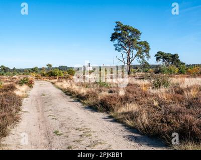 Gebäude A der ehemaligen Langwellen-Radiosendestation Radio Kootwijk im Heidenland Veluwe, Apeldoorn, Niederlande Stockfoto