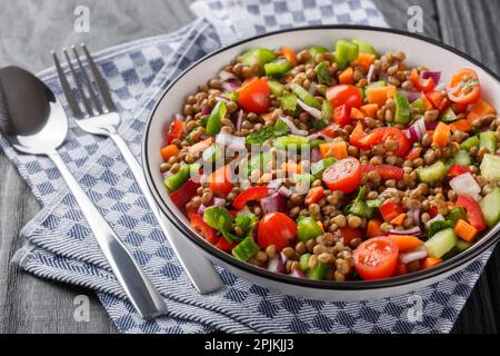 Vegetarischer Salat mit gekochten Linsen, Tomaten, Paprika, Gurken, Zwiebeln mit Olivenöl, Nahaufnahme auf einem Teller auf einem Holztisch. Horizontal Stockfoto
