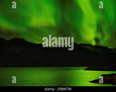 Nordlichter über Angmagssalik Fjord in der Nähe der Siedlung Kuummiit. Ammassalik-Gebiet in Ostgrönland, dänisches Gebiet Stockfoto