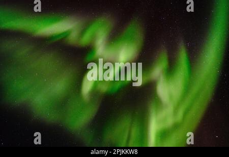 Nordlichter über Angmagssalik Fjord in der Nähe der Siedlung Kuummiit. Ammassalik-Gebiet in Ostgrönland, dänisches Gebiet Stockfoto