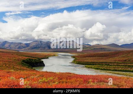 USA, Alaska, Noatak National Preserve. Arktische Tundra in Herbstfarben entlang des Noatak River. Stockfoto