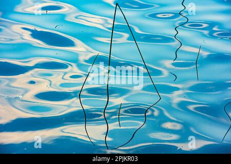 Kanada, Manitoba, Wekusko Falls Provincial Park. Schilf reflektiert Muster im Wekusko Lake. Stockfoto