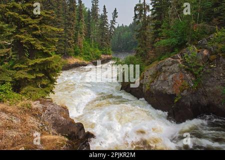 Kanada, Manitoba, Wekusko Falls. Flussukkkade durch den Wald. Stockfoto