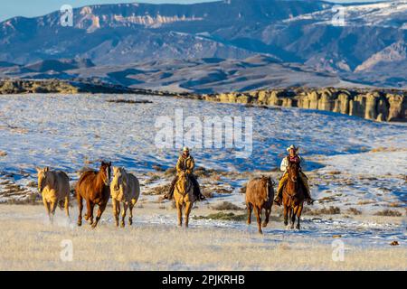 USA, Wyoming. Versteck Horse Ranch, Rangler und Pferde. (HERR, PR) Stockfoto