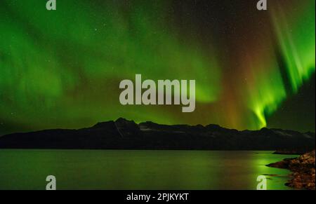 Nordlichter über Angmagssalik Fjord in der Nähe der Siedlung Kuummiit. Ammassalik-Gebiet in Ostgrönland, dänisches Gebiet Stockfoto