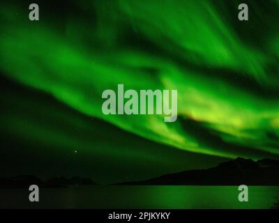 Nordlichter über Angmagssalik Fjord in der Nähe der Siedlung Kuummiit. Ammassalik-Gebiet in Ostgrönland, dänisches Gebiet Stockfoto