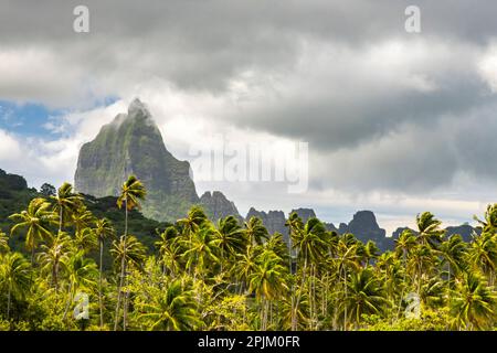 Französisch-Polynesien, Moorea. Bali Hai Berge und Palmen. Stockfoto