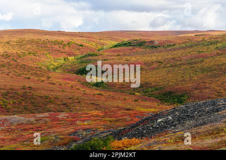 USA, Alaska, Noatak National Preserve. Arktische Tundra in Herbstfarben. Stockfoto