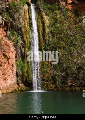 Queda do Vigario Falls Alte Algarve Portugal EU Herbst 24m über Klippen in ein tiefes, von Feigenbäumen schattiges Becken ein beliebtes Touristenziel auf der Jeep-Safari Stockfoto