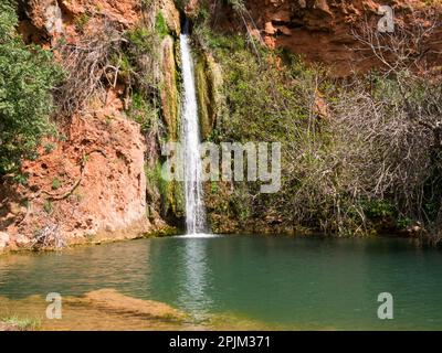 Queda do Vigario Falls Alte Algarve Portugal EU Herbst 24m über Klippen in tiefen Pool, der von Feigenbäumen gesäumt ist ein beliebtes Touristenziel auf der Jeep-Safari tou Stockfoto