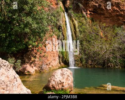 Queda do Vigario Falls Alte Algarve Portugal EU Herbst 24m über Klippen in ein tiefes, von Feigenbäumen schattiges Becken Ältere weibliche Touristen, die Queda do Vigar besuchen Stockfoto