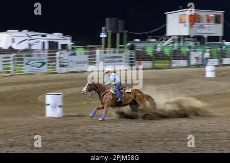 USA, Washington State, Whitman County, Palouse. Palouse Empire State Fair, Colfax. Rodeo. Fass-Rennen. (Nur Redaktionelle Verwendung) Stockfoto