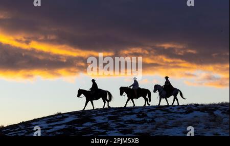 USA, Shell, Wyoming. Versteckte Cowboys und Cowgirls auf der Ranch, die sich auf dem Ridgeline vor Sonnenuntergang schützen. (PR, MR) Stockfoto