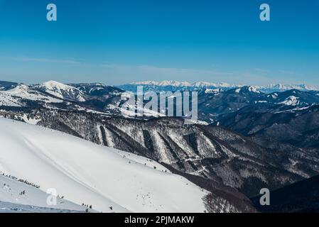 Blick auf das Tatra-Gebirge vom Krtizna-Hügel im Velka Fatra-Gebirge in der Slowakei an einem wunderschönen Wintertag Stockfoto