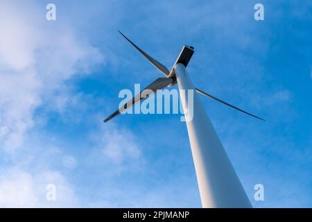 Unteransicht einer Windmühle eines Aerogenerators. Stockfoto