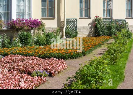 Pavlovsk, Russland-11. August 2022: Kaiserin Marias Garten, Blumenbeet, Sankt Petersburg, Russland Stockfoto