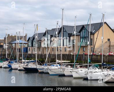 2 April 2023. Lossiemouth Marina, Lossiemouth, Moray, Schottland. Dies sind kleine Yachten, die unter Jachthäusern in der Küstenstadt Lossiemouth oder Lo festgemacht sind Stockfoto