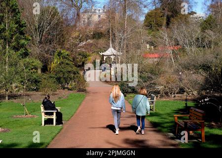 Edinburgh, Schottland, Großbritannien. 3. April 2023 Der Sonnenschein im Frühling zieht Besucher in den Royal Botanic Garden. Kredit: Craig Brown/Alamy Live News Stockfoto