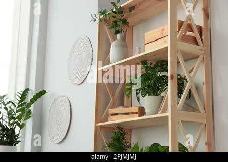 Holzregal mit schönen Zimmerpflanzen, Blick aus niedrigem Winkel. Idee für das Heimdesign Stockfoto