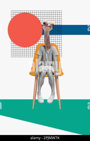 Zusammengesetzte Fotocollage eines kopflosen Straußentieres, die auf gezeichneten Hintergrund isolierte, neugierige Sitzumkleidekleidung beobachtet Stockfoto
