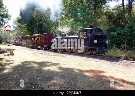 Touristen, die mit dem Puffing Billy Steam Train in Melbourne, Australien fahren Stockfoto