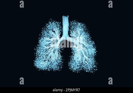 Bronchialbaum (Atmungsbaum) mehrverzweigte Trachea, Bronchien und Lunge. Lungen- und atemmedizinische Kunstdarstellung. Mit der Hand zeichnen Stockfoto