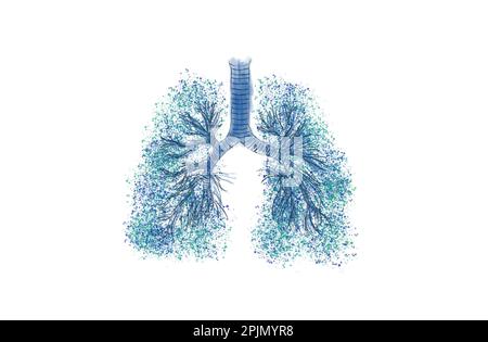 Bronchialbaum (Atmungsbaum) mehrverzweigte Trachea, Bronchien und Lunge. Lungen- und respiratorische Medizin Illustration. Mit GO von Hand zeichnen Stockfoto