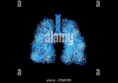 Bronchialbaum (Atmungsbaum) mehrverzweigte Trachea, Bronchien und Lunge. Lungen- und atemmedizinische Kunstdarstellung. Mit der Hand zeichnen Stockfoto