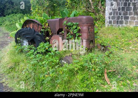Verlassene Geräte, Ruinen der Zuckerfabrik, das Wingfield Estate, Romney Manor, St. Kitts, Karibik Stockfoto