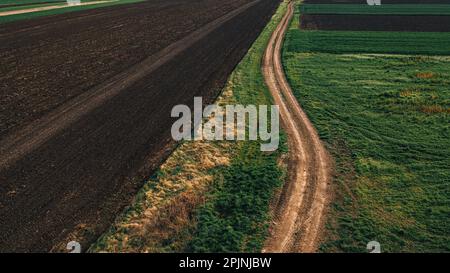 Landstraße zwischen bebauten Feldern in abnehmender Perspektive, aus einem großen Blickwinkel Stockfoto