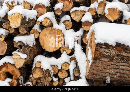 Schneebedecktes Brennholz. Holzstapel geschnitten. Schnee auf dem Holzstapel. Holzlager unter Schnee. Stockfoto