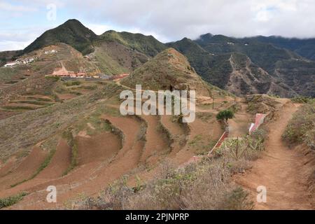 Höhlenhäuser und terrassenförmig angelegte Felder in den Anaga Bergen, Chinamada Siedlung im Nordosten von Teneriffa Kanarische Inseln Spanien. Stockfoto