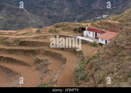 Höhlenhäuser und terrassenförmig angelegte Felder in den Anaga Bergen, Chinamada Siedlung im Nordosten von Teneriffa Kanarische Inseln Spanien. Stockfoto